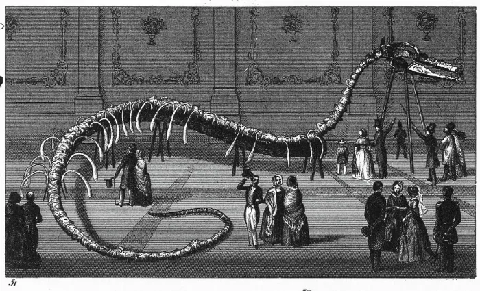 Framed Print : Victorian-era Engraving of a Dinosaur Skeleton Framed Print : Victorian-era Engraving of a Dinosaur Skeleton