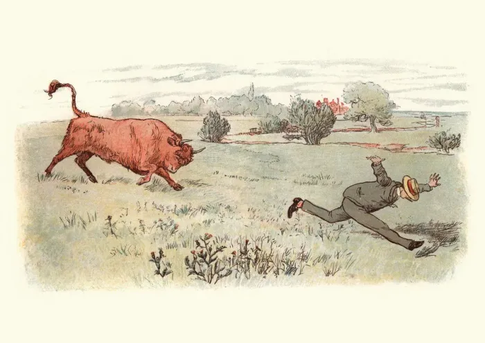 Framed Print : Victorian man being chased through field by an angy bull