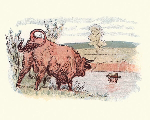 Victorian man hiding from a angry bull