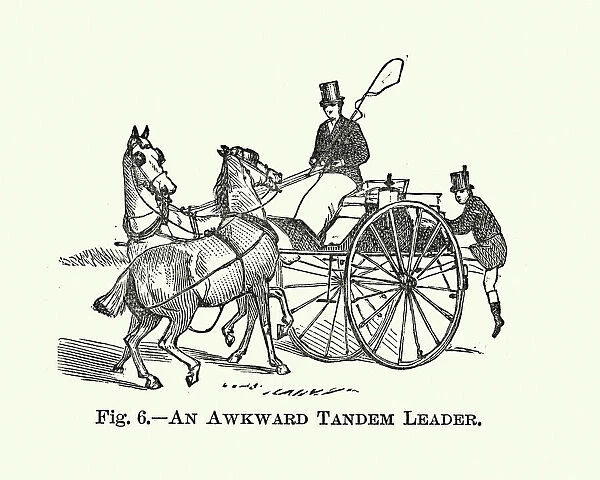 Victorian sports, Carriage driving, Awkward tandem leader