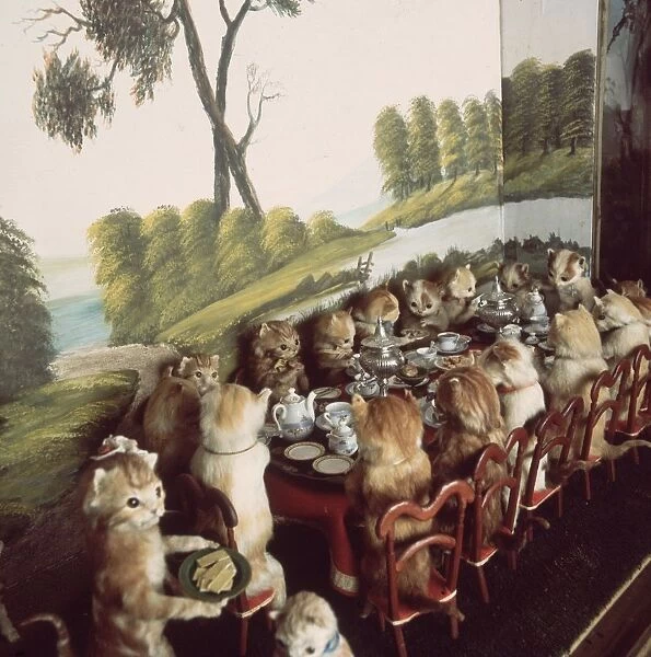 Victorian stuffed animals at Potters Museum of Curiosity in Bolventor, Cornwall