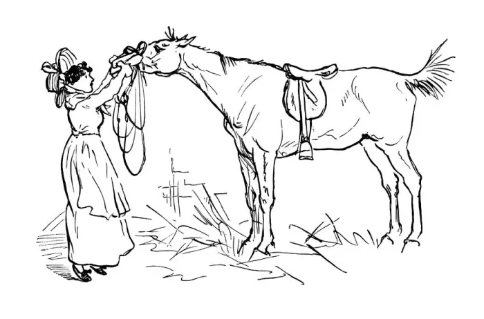 Framed Print : Victorian woman tending to a horse Framed Print : Victorian woman tending to a horse