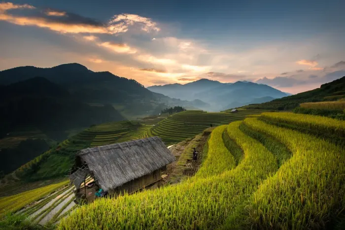 Framed Print : Vietnam