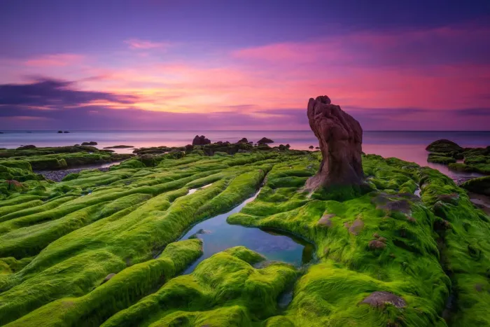 Framed Print : Vietnam beach / landscape photo of Co Thach Framed Print : Vietnam beach / landscape photo of Co Thach