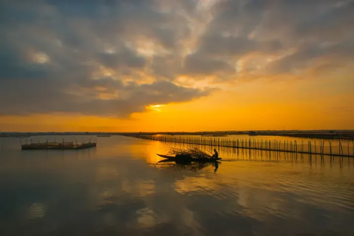 Framed Print : Vietnam - Fisherman go fishing on boat near net system on Tam Giang lagoon, Hue, Thua Thien Hue Framed Print : Vietnam - Fisherman go fishing on boat near net system on Tam Giang lagoon, Hue, Thua Thien Hue
