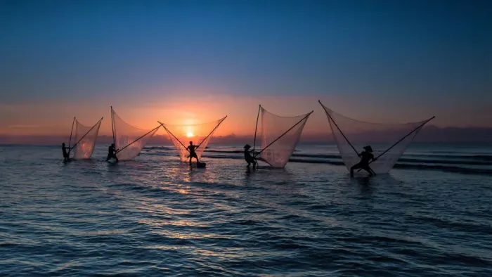 Framed Print : Vietnam - Fishermen are fishing on Nam Dinh beach Framed Print : Vietnam - Fishermen are fishing on Nam Dinh beach