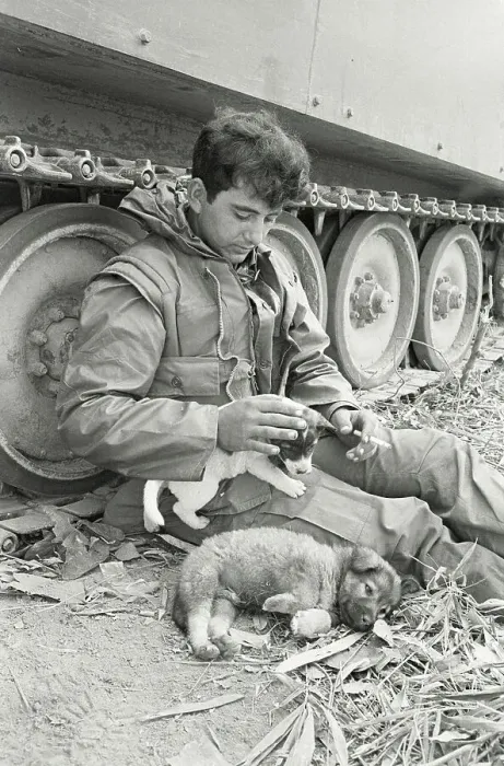 Framed Print : Vietnam Gi With Puppy Framed Print : Vietnam Gi With Puppy