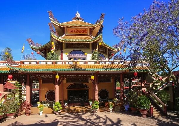 Vietnam Pagoda with jacaranda blossom