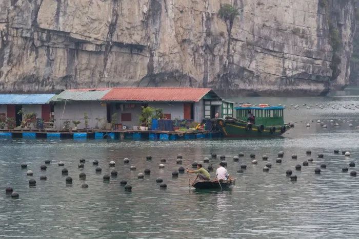 Framed Print : Vietnam Pearl Farm