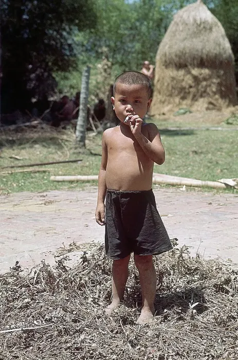 Framed Print : Vietnamese Boy Smoking Cigarette Framed Print : Vietnamese Boy Smoking Cigarette