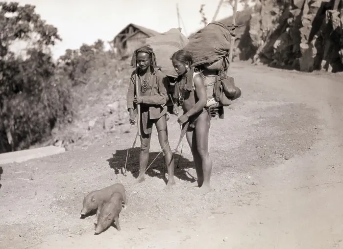 Framed Print : Vietnamese Family W / Pet Pigs On Leash Framed Print : Vietnamese Family W / Pet Pigs On Leash