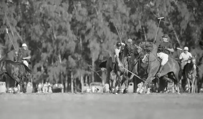 Framed Print : View of Action During Polo Match