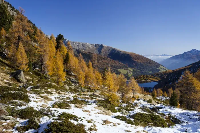 Framed Print : View during the ascent to Hoechster Hut, overlooking the Val dUltimo towards Weissbrunnsee Lake, Alto Adige, Italy, Europe Framed Print : View during the ascent to Hoechster Hut, overlooking the Val dUltimo towards Weissbrunnsee Lake, Alto Adige, Italy, Europe