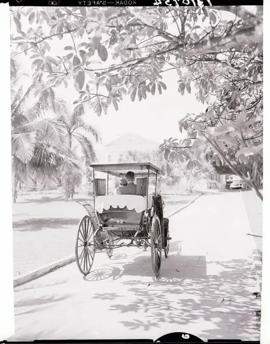 Framed Print : View of Bahamian Carriage and Villa Framed Print : View of Bahamian Carriage and Villa