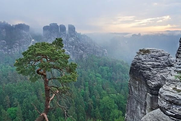 View from the Bastei rock formation, Saxon Switzerland National Park, Saxon Switzerland region, Saxony, Germany