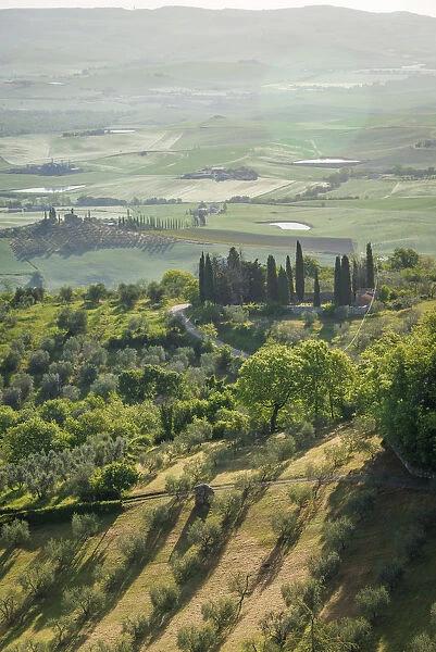 A view of the beautiful hills of the Val D Orcia, Tuscany