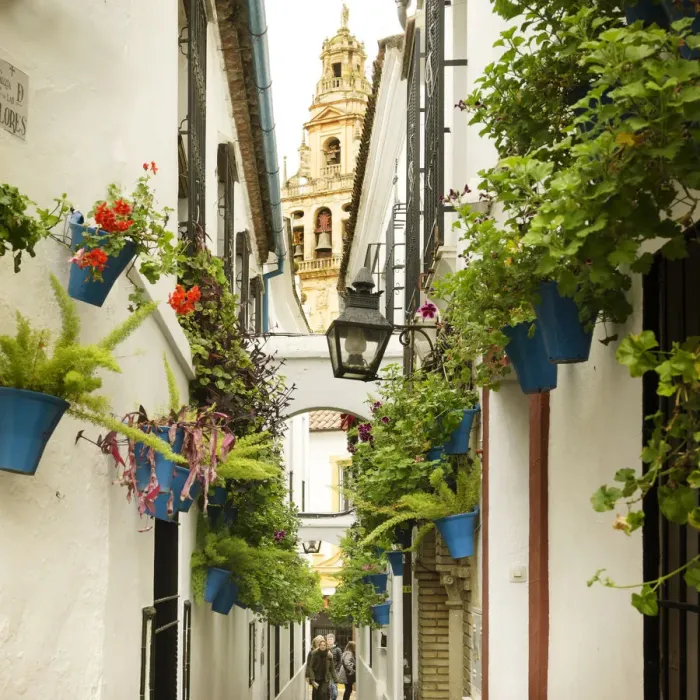 Framed Print : View of the Bell Tower, Cordoba, Spain Framed Print : View of the Bell Tower, Cordoba, Spain