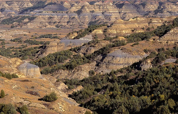 View from Bentonitic Clay Overlook on forest and eroded formations with gray colored exposed bentonite clay, Theodore Roosevelt National Park, North Dakota, USA