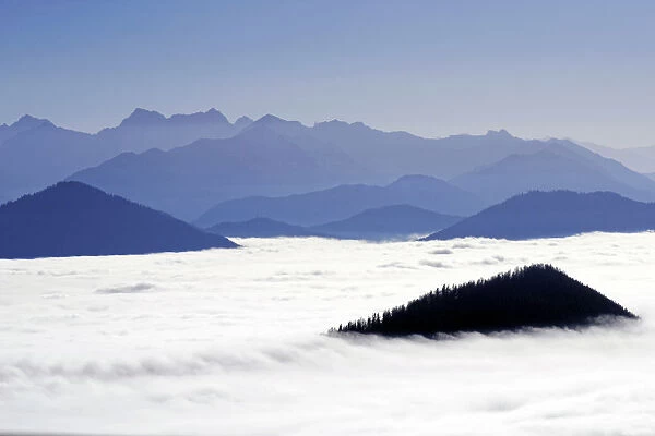 View from Brauneck to the Karwendel in fog, Lenggries, Upper Bavaria, Bavaria, Germany