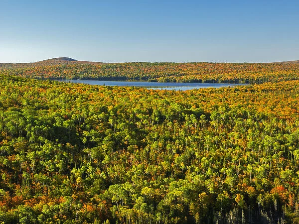 View from Brockway Mountain at forest landscape, Keweenaw Peninsula, Michigan, USA