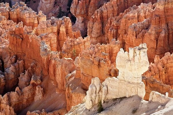 View from Bryce Point showing layers of sandstone hoodoos, Bryce Canyon National Park, Utah, USA