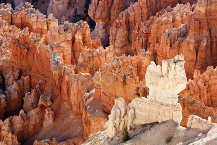 Framed Print : View from Bryce Point showing layers of sandstone hoodoos, Bryce Canyon National Park, Utah, USA Framed Print : View from Bryce Point showing layers of sandstone hoodoos, Bryce Canyon National Park, Utah, USA