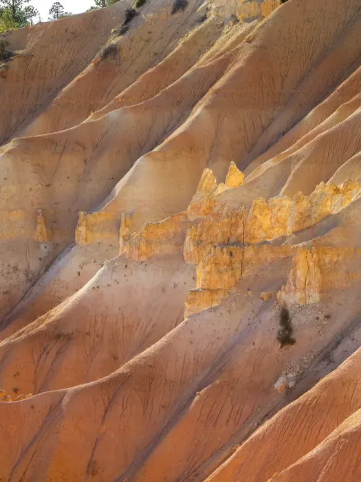 Framed Print : View of canyon with hoodoos, Bryce Canyon National Park, Utah, USA Framed Print : View of canyon with hoodoos, Bryce Canyon National Park, Utah, USA