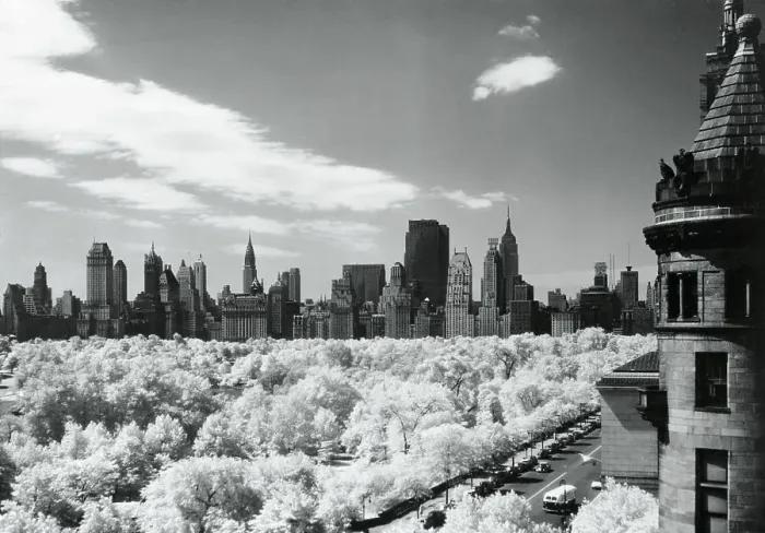 Framed Print : View of Central Park, New York City, New York State, USA Framed Print : View of Central Park, New York City, New York State, USA