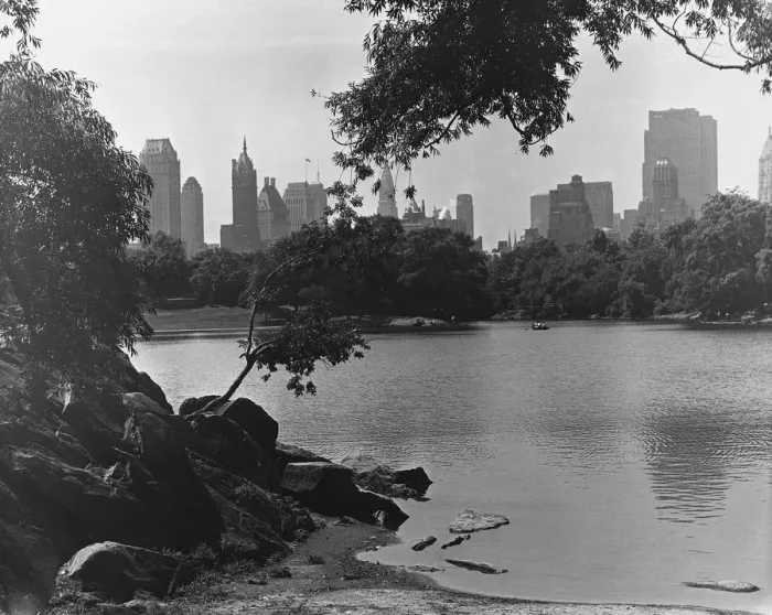 Framed Print : View from Central Park, NYC Framed Print : View from Central Park, NYC