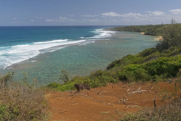View of the coast from the Pilaa Lookout, on the Kilauea volcano, Kauai, Hawaii, United States