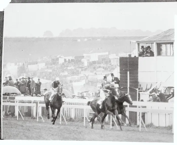 Framed Print : View of Coronation Cup Race Framed Print : View of Coronation Cup Race