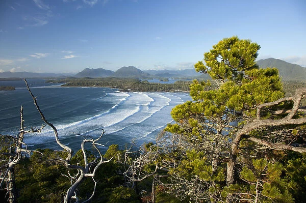 The View Of Cox Bay And Surrounding Mountains And Temperate Rainforest Near Tofino
