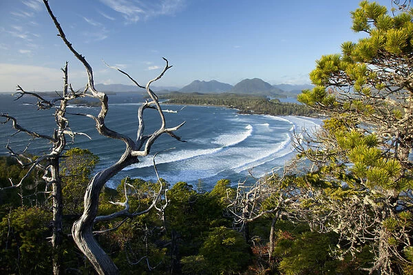 The View Of Cox Bay And Surrounding Mountains And Temperate Rainforest Near Tofino; British Columbia Canada