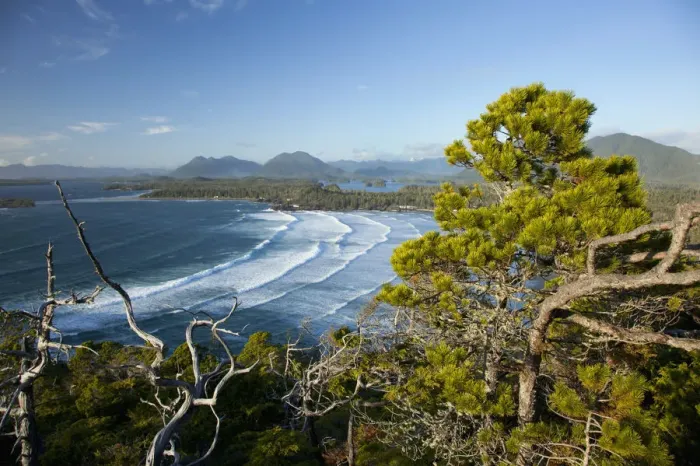 Framed Print : The View Of Cox Bay And Surrounding Mountains And Temperate Rainforest Near Tofino Framed Print : The View Of Cox Bay And Surrounding Mountains And Temperate Rainforest Near Tofino