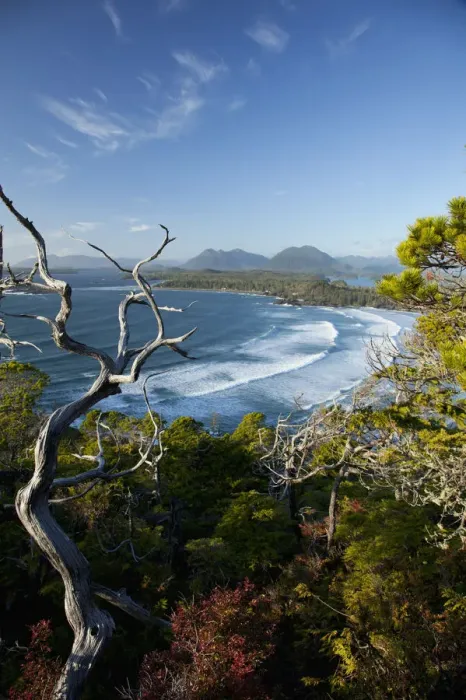 Framed Print : The View Of Cox Bay And Surrounding Mountains And Temperate Rainforest Near Tofino Framed Print : The View Of Cox Bay And Surrounding Mountains And Temperate Rainforest Near Tofino