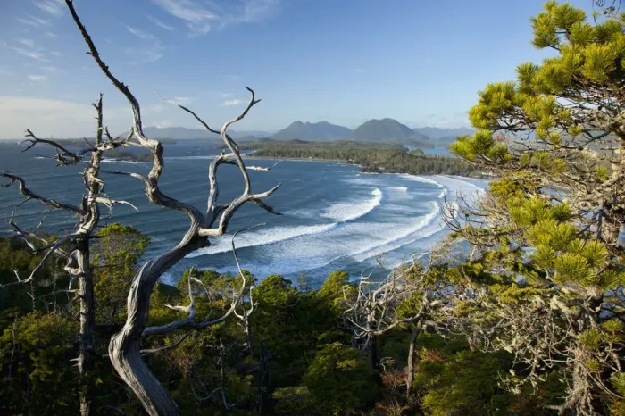 Framed Print : The View Of Cox Bay And Surrounding Mountains And Temperate Rainforest Near Tofino; British Columbia Canada