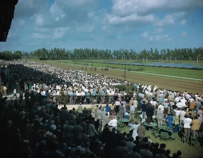 Framed Print : View of Crowd Watching Horse Racing