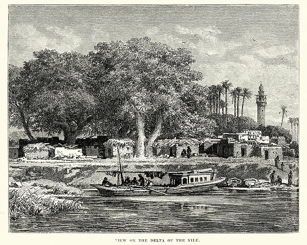 View on the Delta of River Nile 19th Century