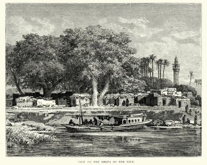 Framed Print : View on the Delta of River Nile 19th Century Framed Print : View on the Delta of River Nile 19th Century