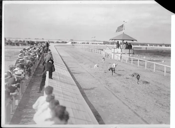 Framed Print : View of Dogs Racing on Track Framed Print : View of Dogs Racing on Track