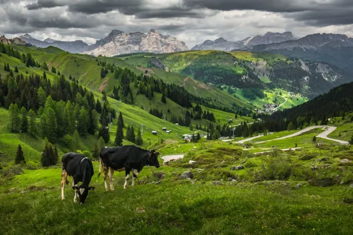 Framed Print : View of Dolomiti Framed Print : View of Dolomiti