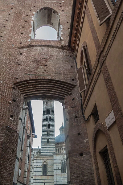 View of Duomo, Siena, Italy