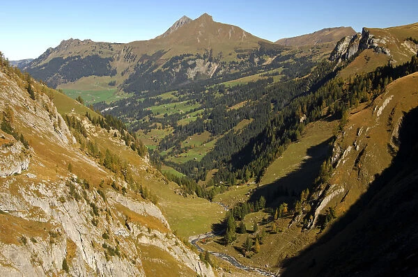 View through Geltental valley to the peaks of Giferspitz and Lauenenhorn, Geltental Nature Reserve, Lauenen, Switzerland, Europe