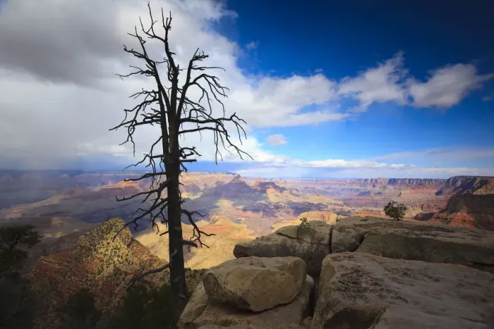 Framed Print : View of the Grand Canyon, Arizona, USA, North America Framed Print : View of the Grand Canyon, Arizona, USA, North America