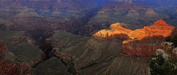 View of the Grand Canyon in the evening light, viewing point Mather Point, South Rim, Grand Canyon, at Tusayan, Arizona, USA