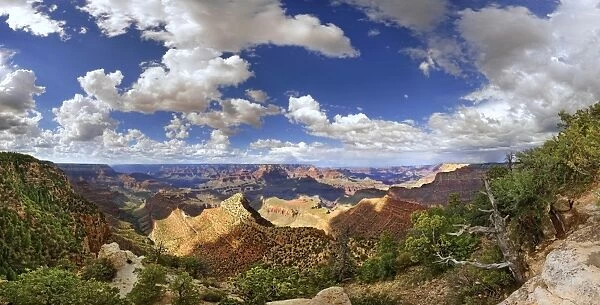 View of the Grand Canyon, viewing point Mather Point, South Rim, Grand Canyon, at Tusayan, Arizona, USA
