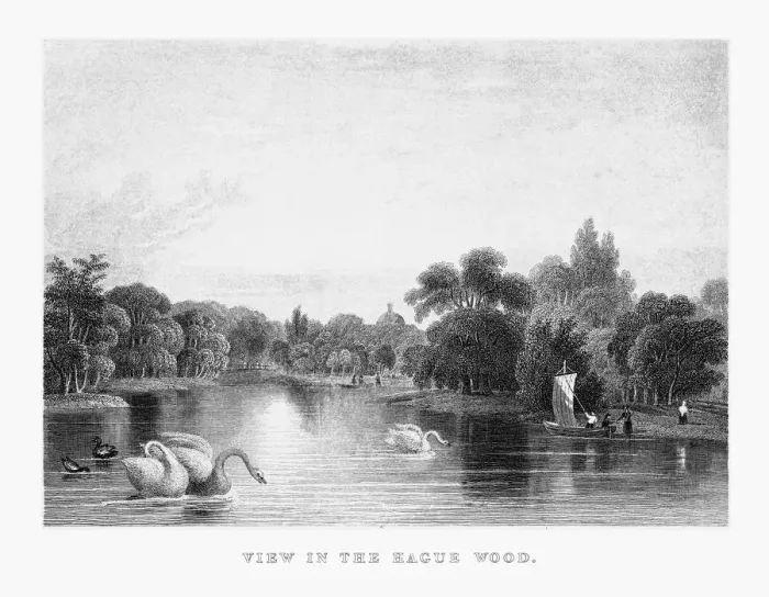 Framed Print : View in the Hague Wood Park in Rotterdam, Netherlands, Circa 1887
