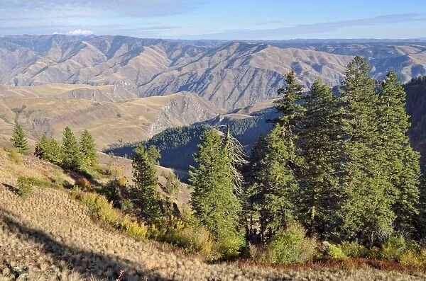 View from Hells Canyon Overlook, Oregon, USA