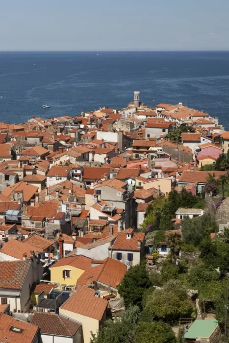 Framed Print : View of the historic centre with lighthouse, Piran, Istria, Slovenia Framed Print : View of the historic centre with lighthouse, Piran, Istria, Slovenia