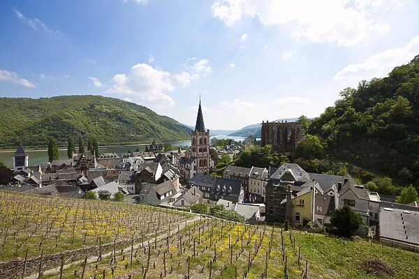 View on the historic district of Bacharach, Unesco World Heritage Site Upper Middle Rhine Valley, Rhineland Palatinate, Germany, Europe, PublicGround